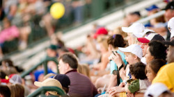 family-baseball-crowd-inpage_theme_images