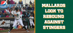Mallards look to rebond against stingers CROPPED