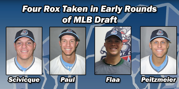 Scivicque, Paul, Flaa & Peitzmeier Selected in Early Rounds of the Major League Baseball Draft