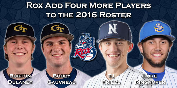 Rox Add Four More Players to the 2016 Roster