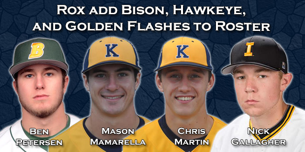 Rox add Bison, Hawkeye, and Golden Flashes to Roster