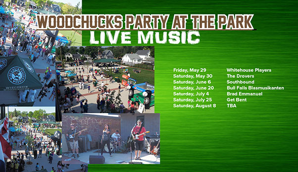Party in the Park - Website