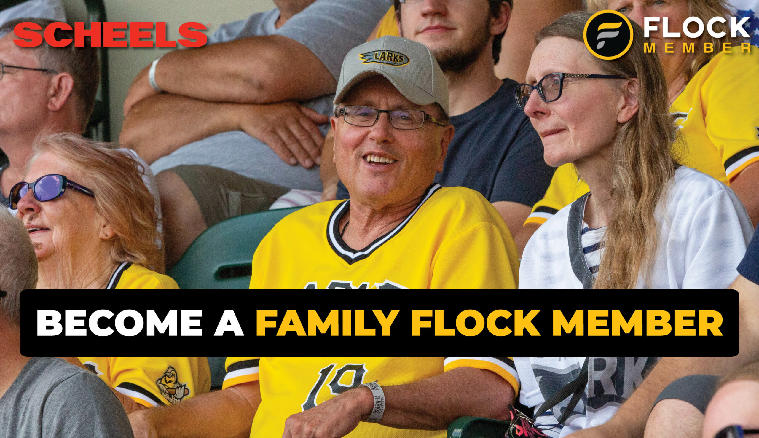 join the flock, larks family flock memberships