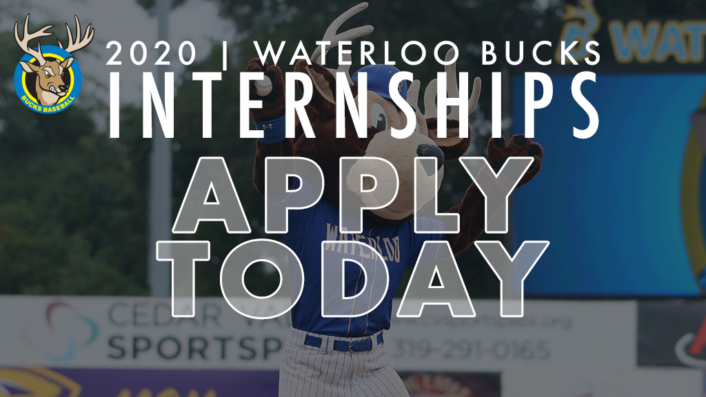Bucks Announce Summer Internship Opportunities Waterloo Bucks
