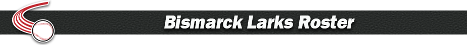 Bismarck Larks roster 2021